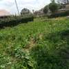 EIGHTH OF AN ACRE PLOT IN MLOLONGO thumb 0