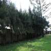Residential Land in Lavington thumb 4