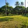Residential Land in Nyali Area thumb 22