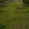 1 acre, beautiful land olooloitikosh thumb 4