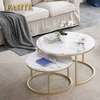 2 Piece Round Marble Top Coffee Tables thumb 5