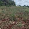 20 Acres Touching Masinga Dam Are Available For Sale thumb 2
