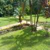 4 Bed House with Garden in Lavington thumb 9