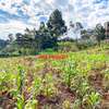 0.05 ha Residential Land at Muthiga thumb 19
