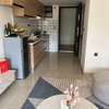Serviced Studio Apartment with En Suite in Ruaraka thumb 4