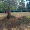 2,023 m² Residential Land at Rosslyn Lone Tree thumb 1
