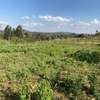 0.05 ha Land in Kikuyu Town thumb 9