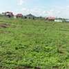 AFFORDABLE 50 BY 100 LAND FOR SALE IN KIMALAT,KITENGELA thumb 0