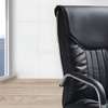 Office Chair: Ergonomic Modern High Back Fixed Arm Chair thumb 1