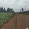 20 ac Land at Moi Ndabi / Maiela thumb 2