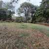 0.13 ac Land at Langata Road thumb 3