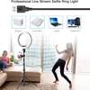 WUZHI 10 inch Ring Light with Stand and Phone Holder thumb 1