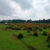 PLOTS FOR SALE IN ROYALTON ELDORET thumb 0