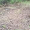 Beautiful one eighth plots in Ngong thumb 5