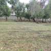 1/2 acre for sale Karen off ndege road thumb 4