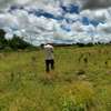 LAND FOR SALE IN TARU ( ALONG MOMBASA NAIROBI HIGHWAY) thumb 0