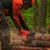 Expert Tree Removal Service | Tree Cutting Services| Tree Removal| Land Clearing| Stump Removal| Emergency work| Firewood Supplies | Tree Trimming and Pruning. Get A Free Quote. thumb 10