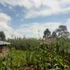 8 ACRES OF LAND ON SALE IN KAPKATET NANDI thumb 8