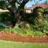 Bestcare Garden Services south B & C,Kiambu,kitengela,ngong thumb 4