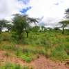 40 Acres Agricultural Land Is For Sale In Masinga Kithyoko thumb 3