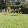 4 Bed House with Garden at Karen thumb 3