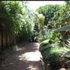 4 Bed House in Lavington thumb 11