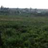 0.25 ac Land at Karai thumb 5