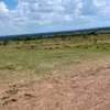 Rumuruti Land for sale 4057 acres thumb 3