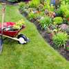 Best Lawn and Garden Services in Nairobi .100% Satisfaction Guaranteed.Get A free Quote. thumb 8