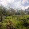 0.5 ac Residential Land in Karen thumb 0