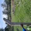 1 ACRE OF LAND IN SOFIA ESTATE HOMA BAY thumb 3