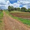 1 ac Residential Land at Kentmere thumb 2