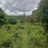 Prime 3Acre land for sale thumb 4