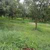 0.5 ac Land at Thika Grove Chania-Opposite Blue Post Hotel thumb 2