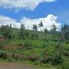 0.05 ha Land at Limuru Makutano Ndeiya thumb 2