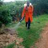 CLEANING SERVICES ,FUMIGATION & PEST CONTROL SERVICES IN KITENGELA. thumb 11