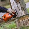Expert Tree Cutting Services | Tree Cutting and Stump Removal Services| Bestcare Tree Service | Tree Trimming Service | Tree Removal And Landscaping | Affordable Tree Cutting Services | Bestcare Tree Trimming | Reliable Tree Cutting Service in Nairobi | Tree Cutting Services Nairobi.Get A Free Quote Now. thumb 4