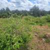 0.2 ha Commercial Land at Merisho Road thumb 3
