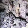 Lava rocks for fire grill n fish aquarium thumb 3