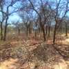 64 acres along Makindu-Wote Road Makueni County thumb 7