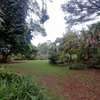 1 ac Land in Lavington thumb 1