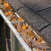 Gutter Cleaning & Repair Services.Lowest Price Guarantee. thumb 7