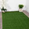 SYNTHETIC SOFT LUSH ARTIFICIAL GRASS CARPET thumb 2