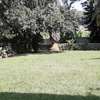 4 Bed House with Garden in Kileleshwa thumb 28