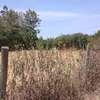 QUARTER ACRE LAND FOR SALE AT KENOL TOUCHING HIGHWAY. thumb 10