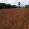 Hot Deal: 50x100 Plots Kilifi Mtamboni– Malkia Phase 1 thumb 3