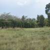 0.092 ha Land at Nyeri-Nanyuki Road thumb 17