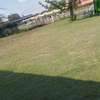 50*100 COMMERCIAL PLOT TO RENT thumb 2
