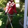 Best Lawn and Garden Services in Nairobi .100% Satisfaction Guaranteed.Get A free Quote. thumb 0