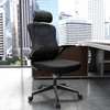 Office Chairs: High Back Luxury Chair thumb 4